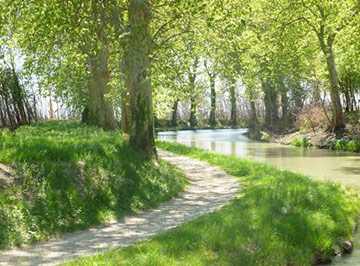 Canal Du Midi